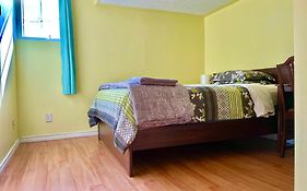 Nice Room At York University
